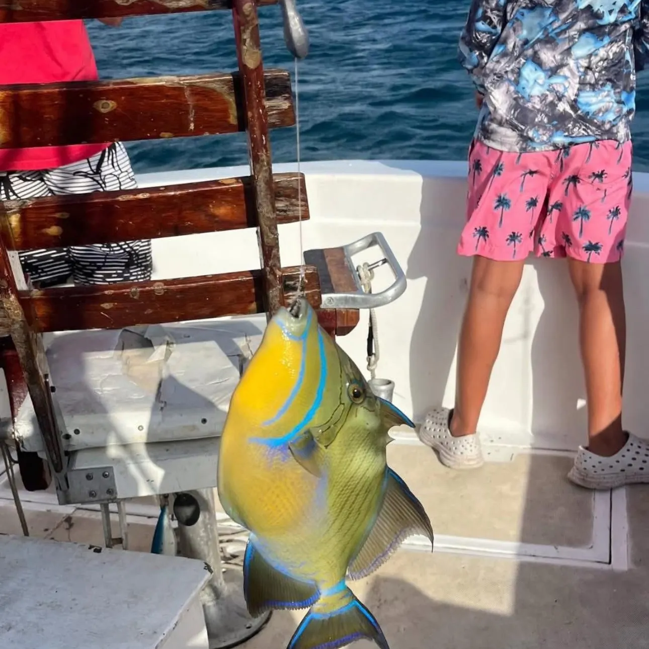 The most recent Queen triggerfish catches on Fishbrain
