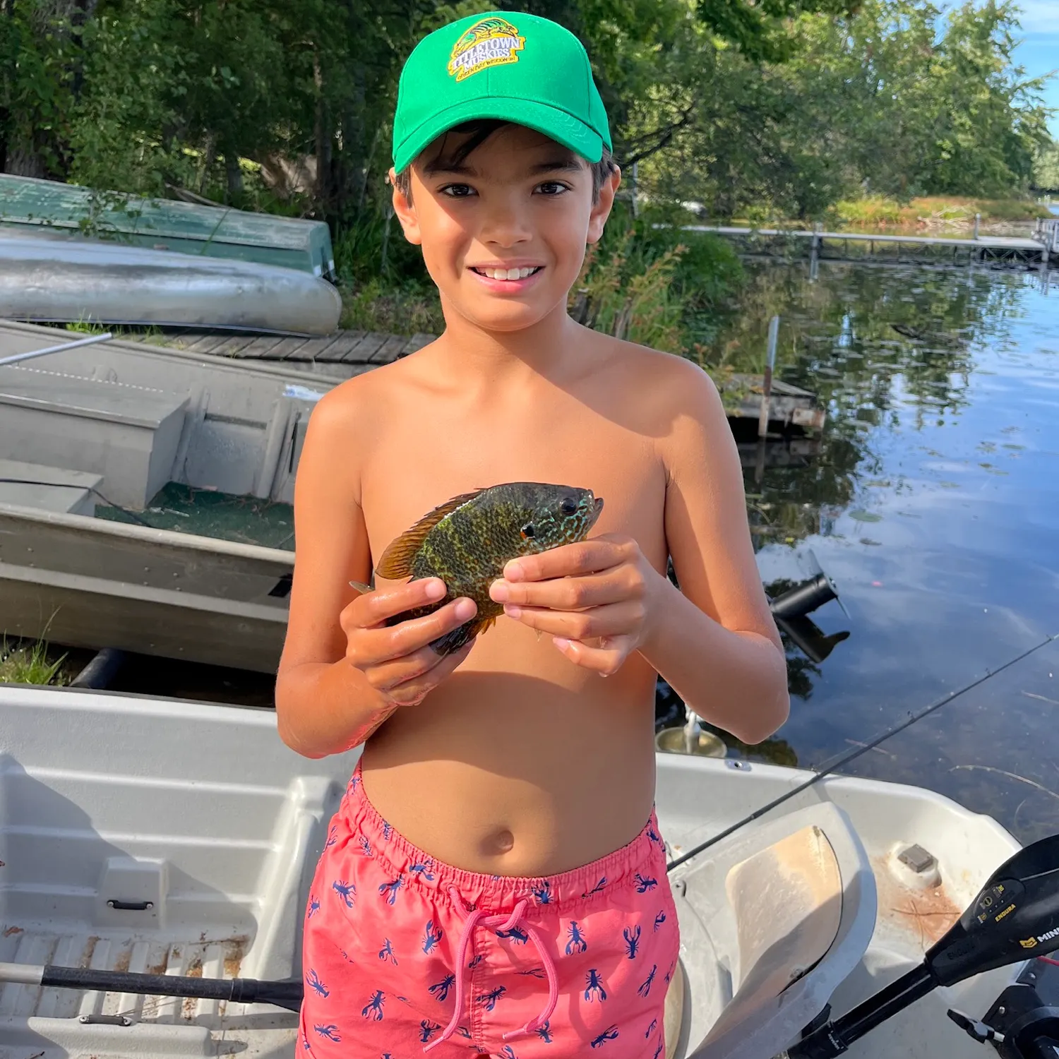 Greengill hybrid caught on Fishbrain