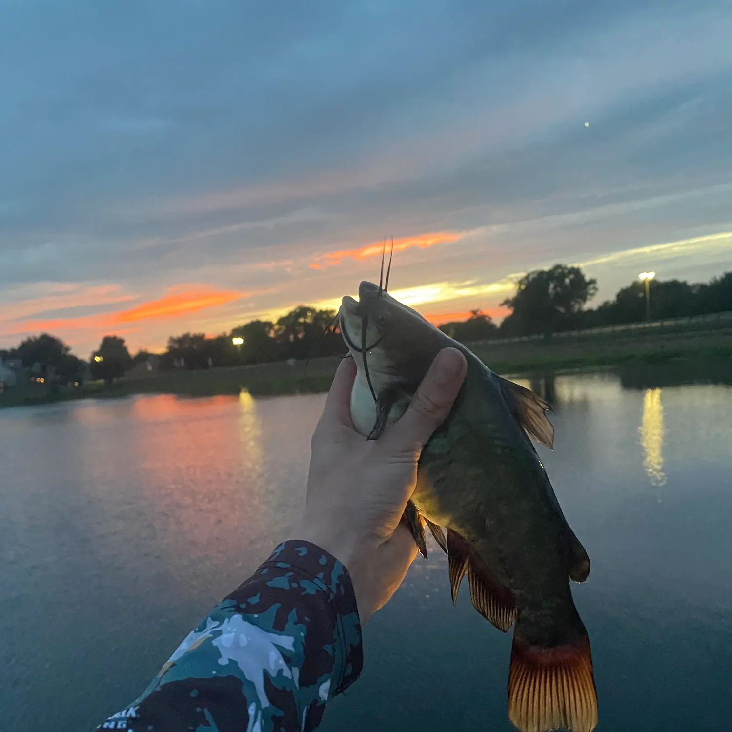 catch