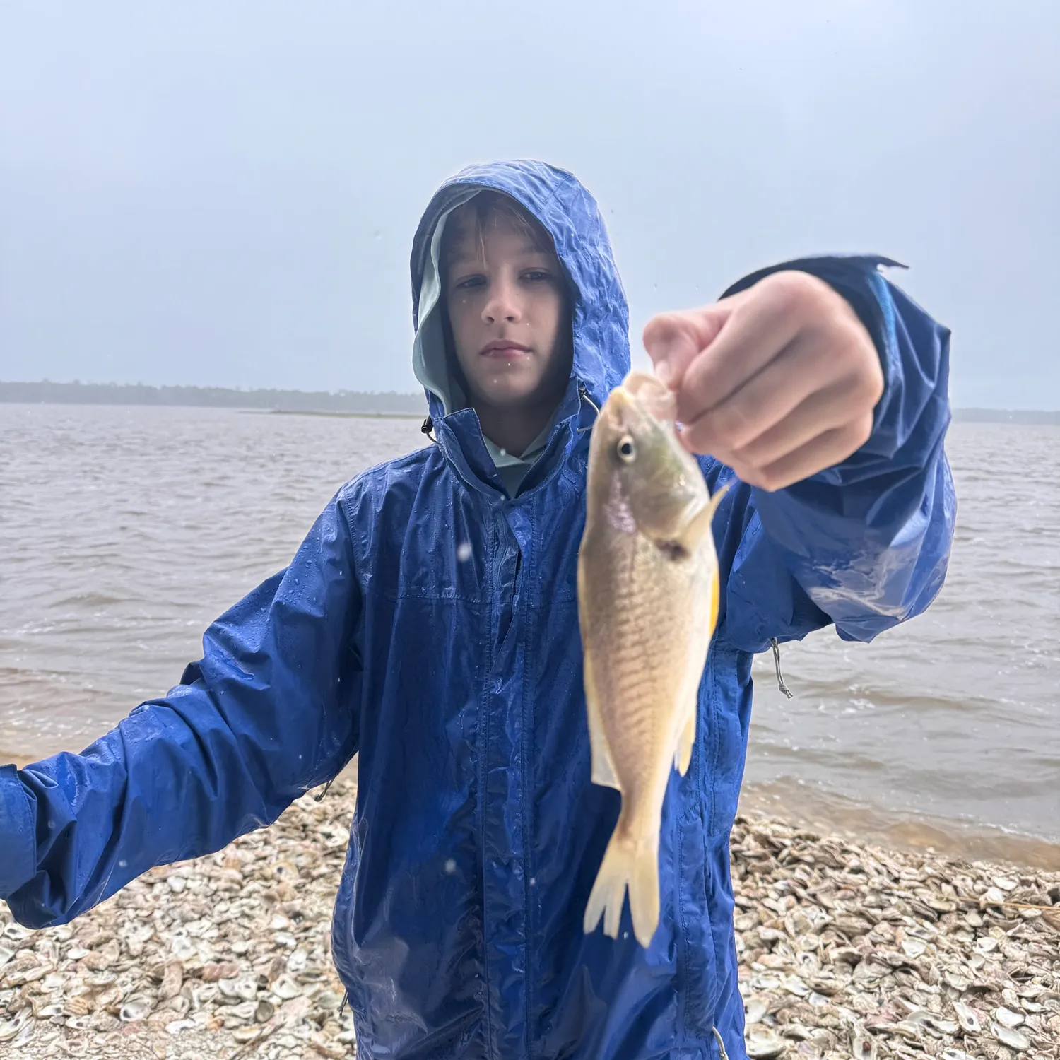 Red drum caught on Fishbrain