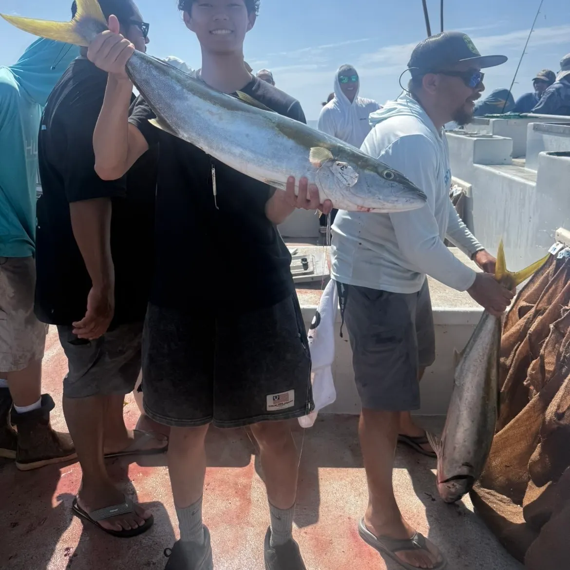 Southern yellowtail amberjack caught on Fishbrain