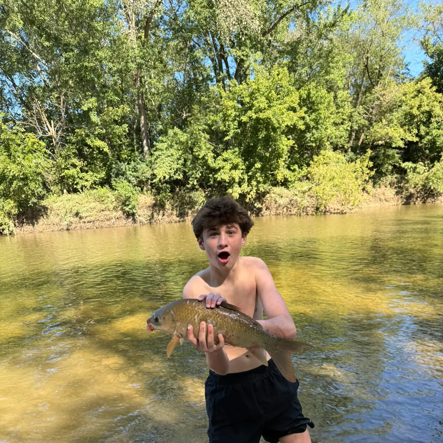 The most recent Smallmouth buffalo catches on Fishbrain