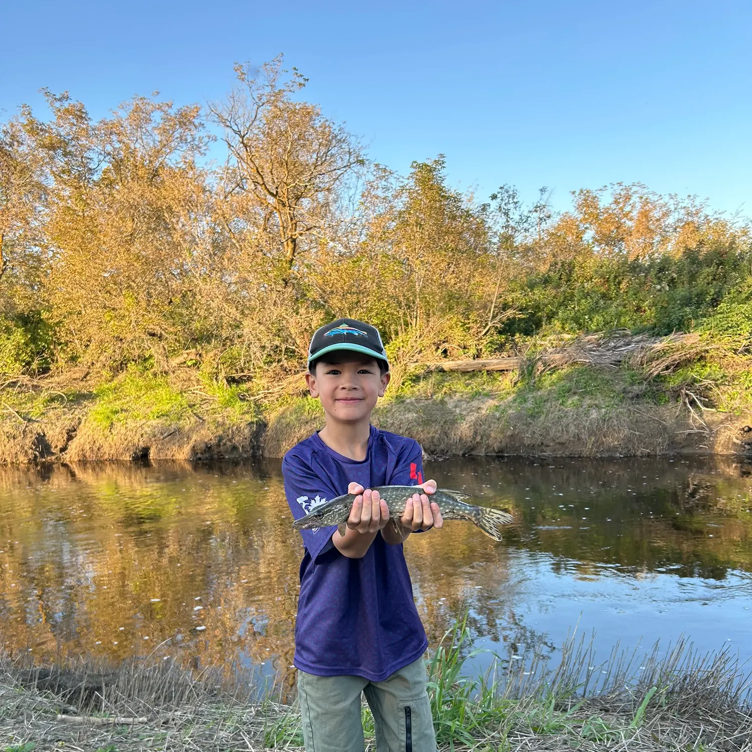 Northern pike caught on Fishbrain