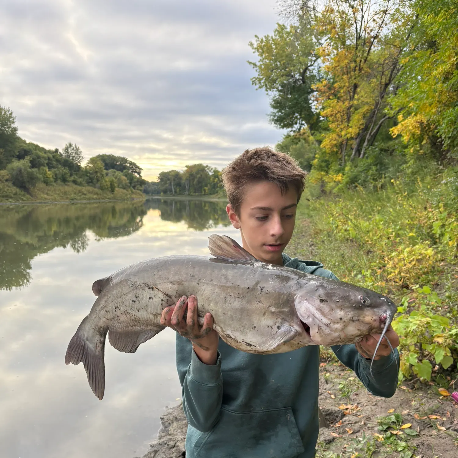 Channel catfish caught on Fishbrain