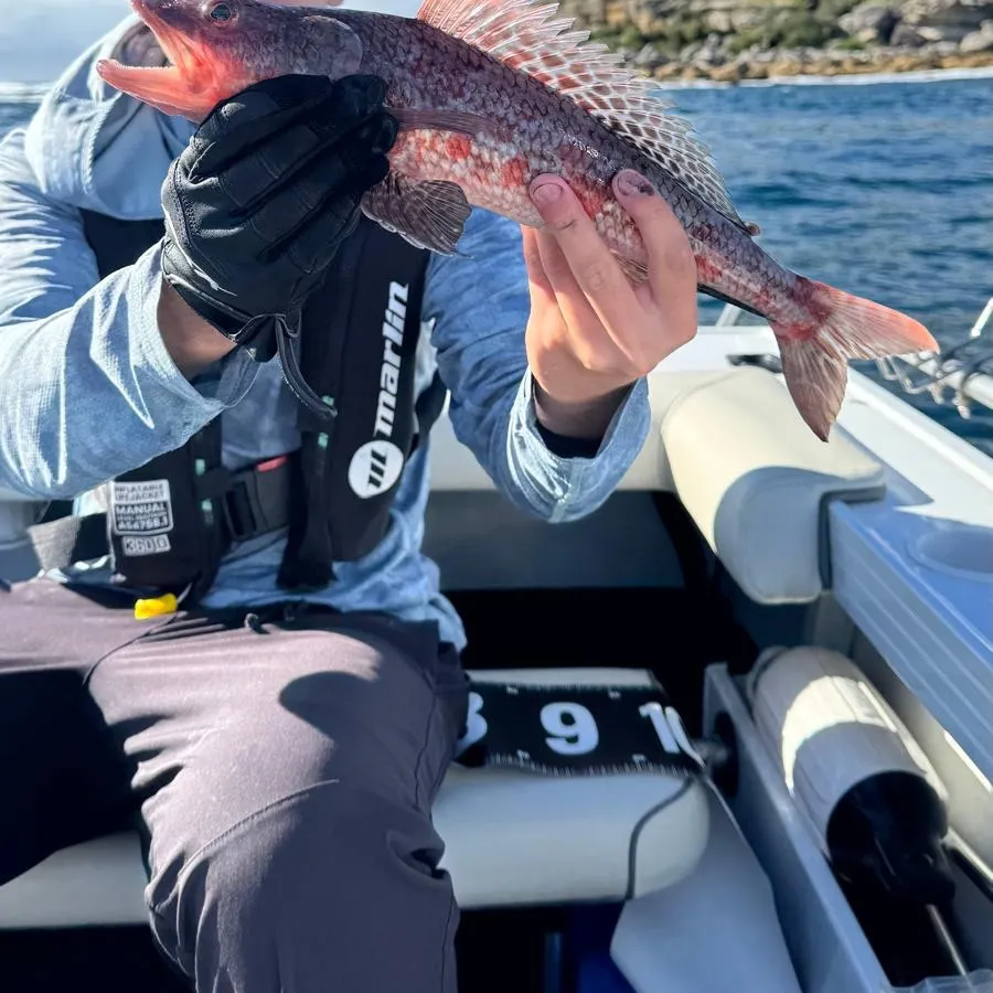 Sergeant Baker caught on Fishbrain