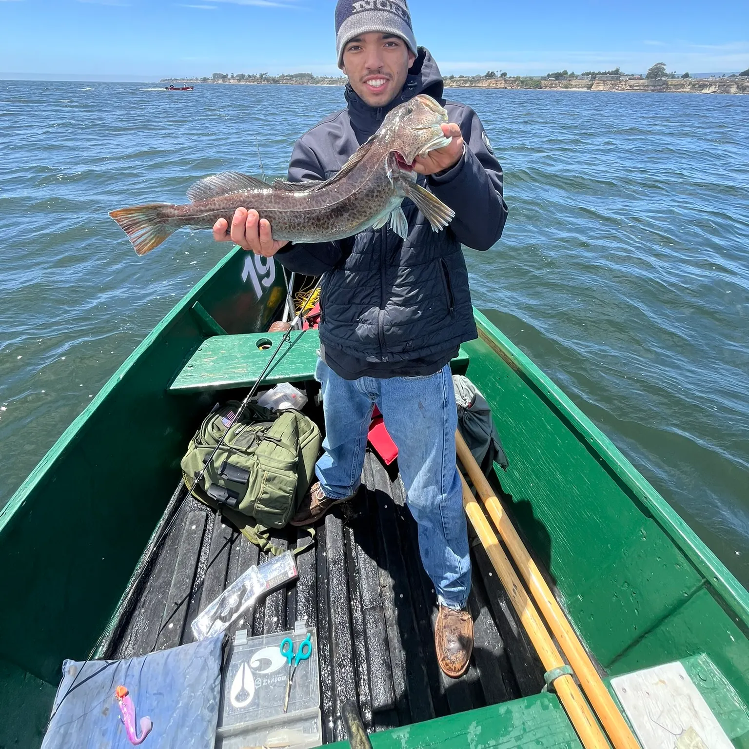 The most recent Lingcod catches on Fishbrain