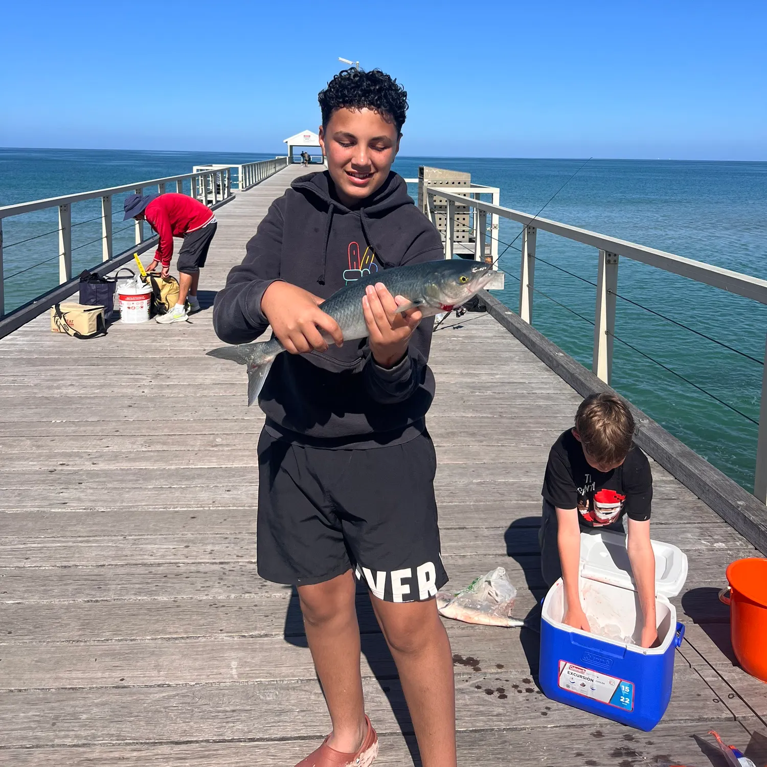The most recent Western Australian salmon catches on Fishbrain