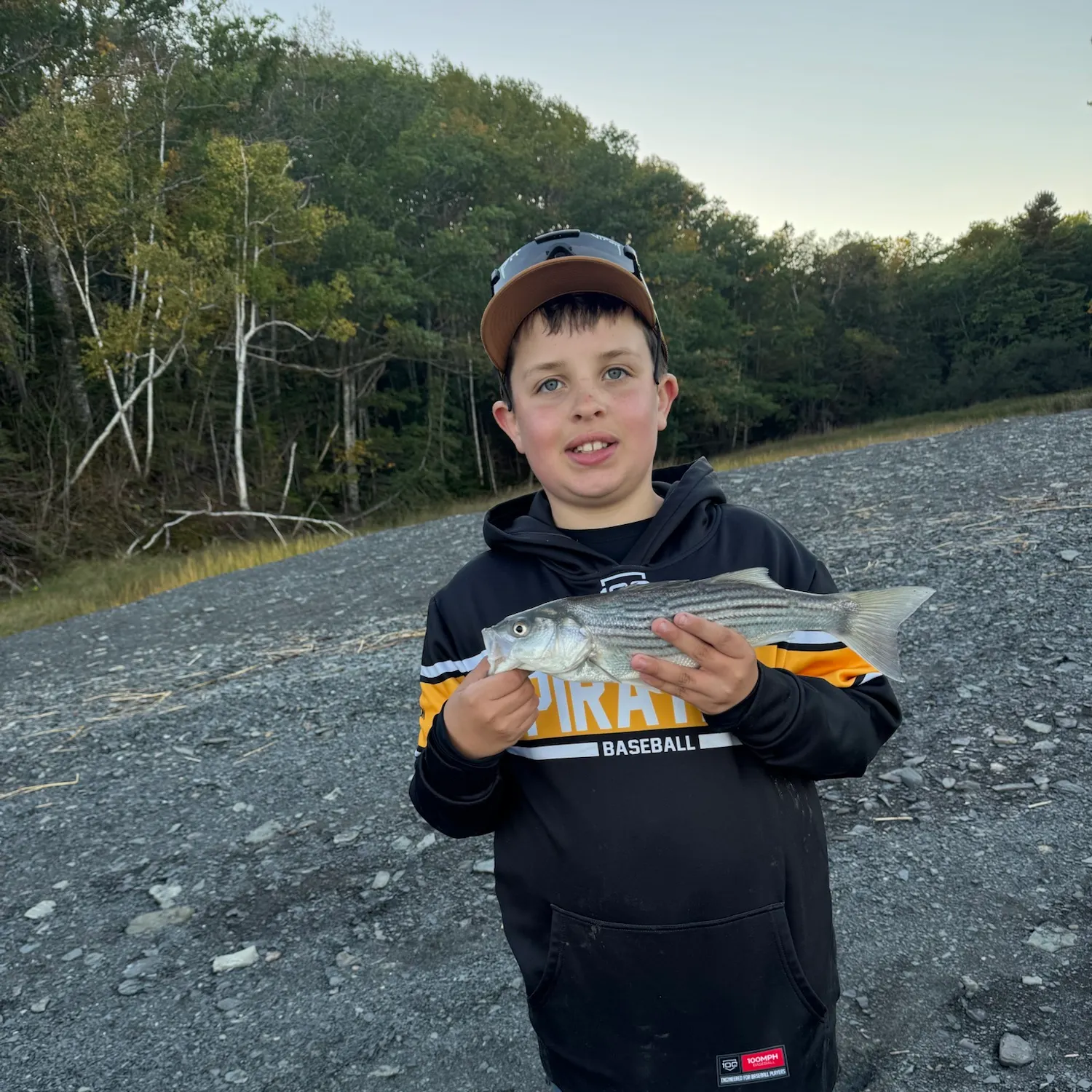 Striped bass caught on Fishbrain