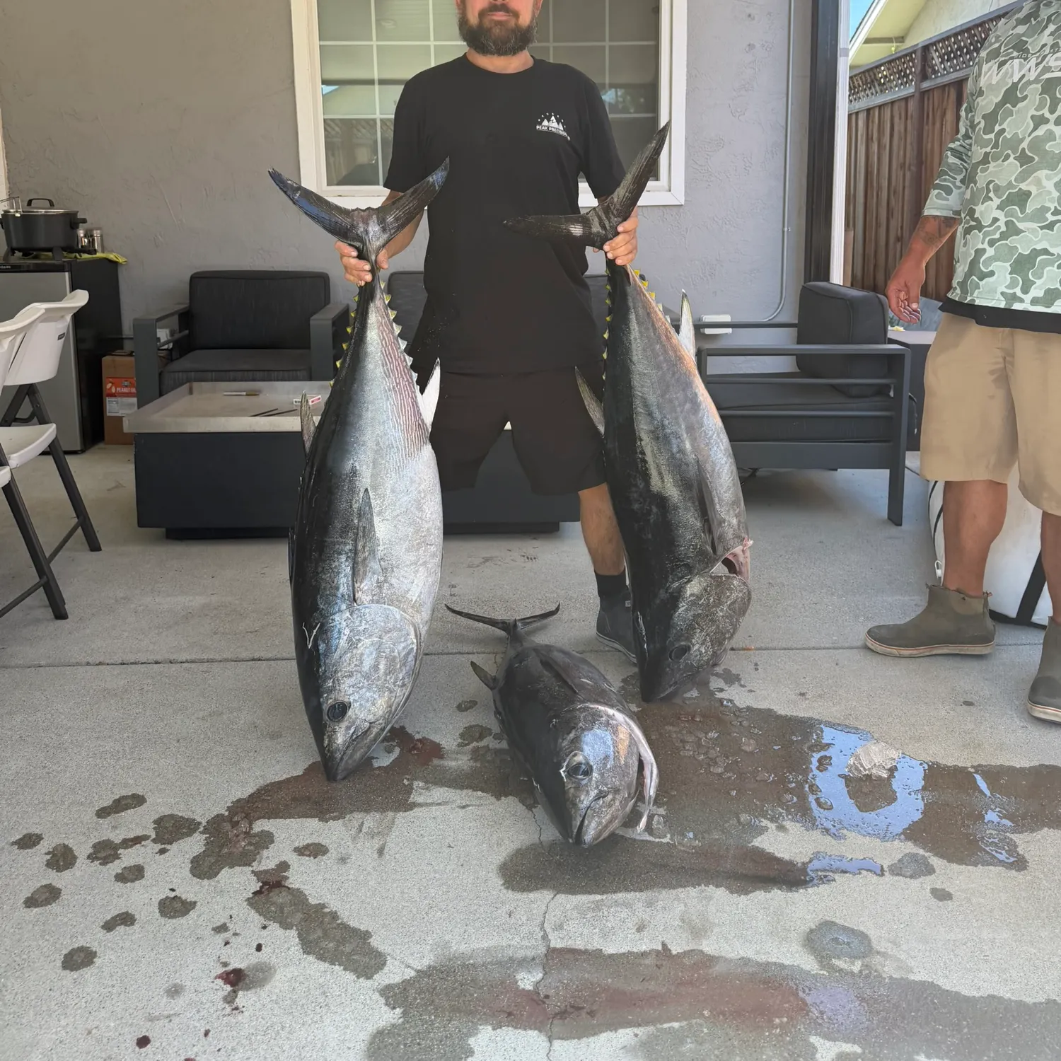 The most recent Pacific bluefin tuna catches on Fishbrain