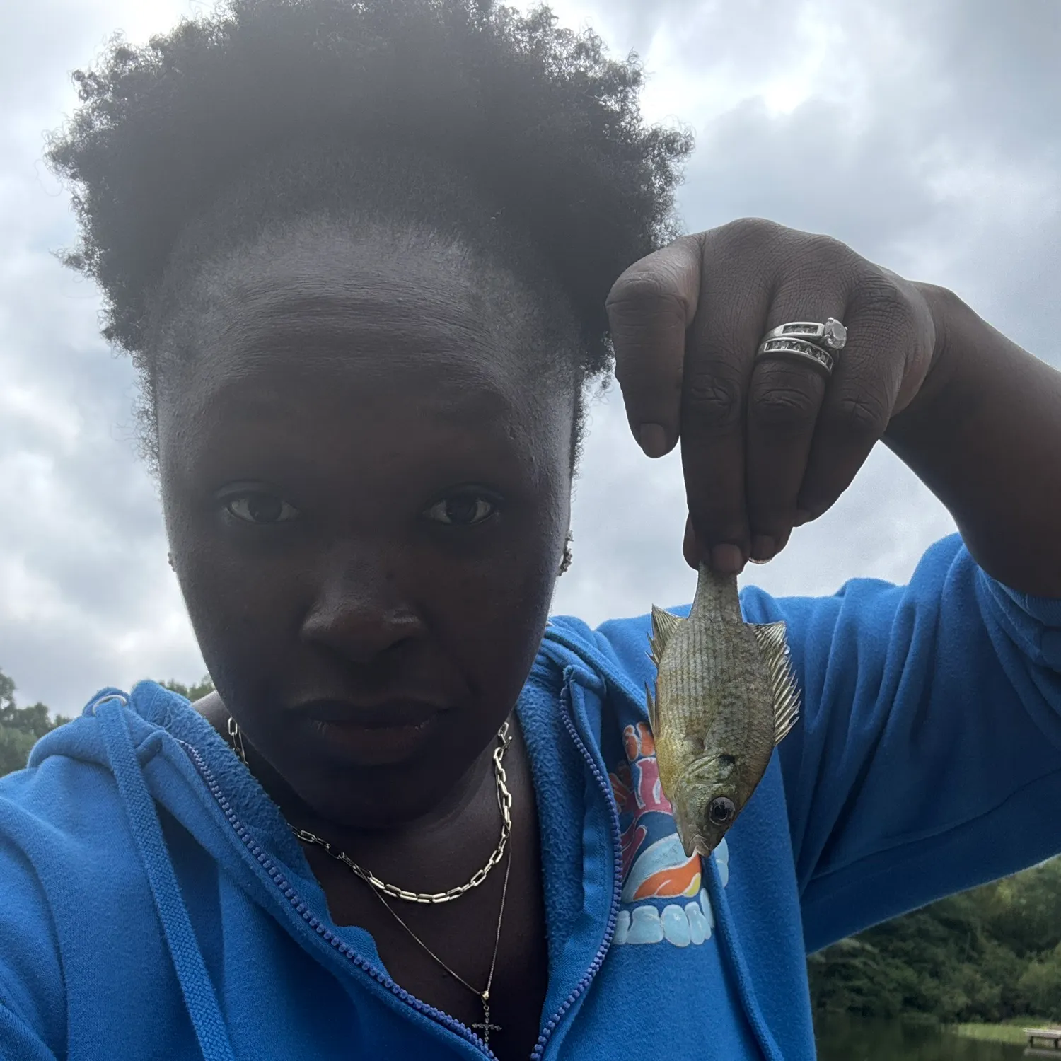Bluegill caught on Fishbrain