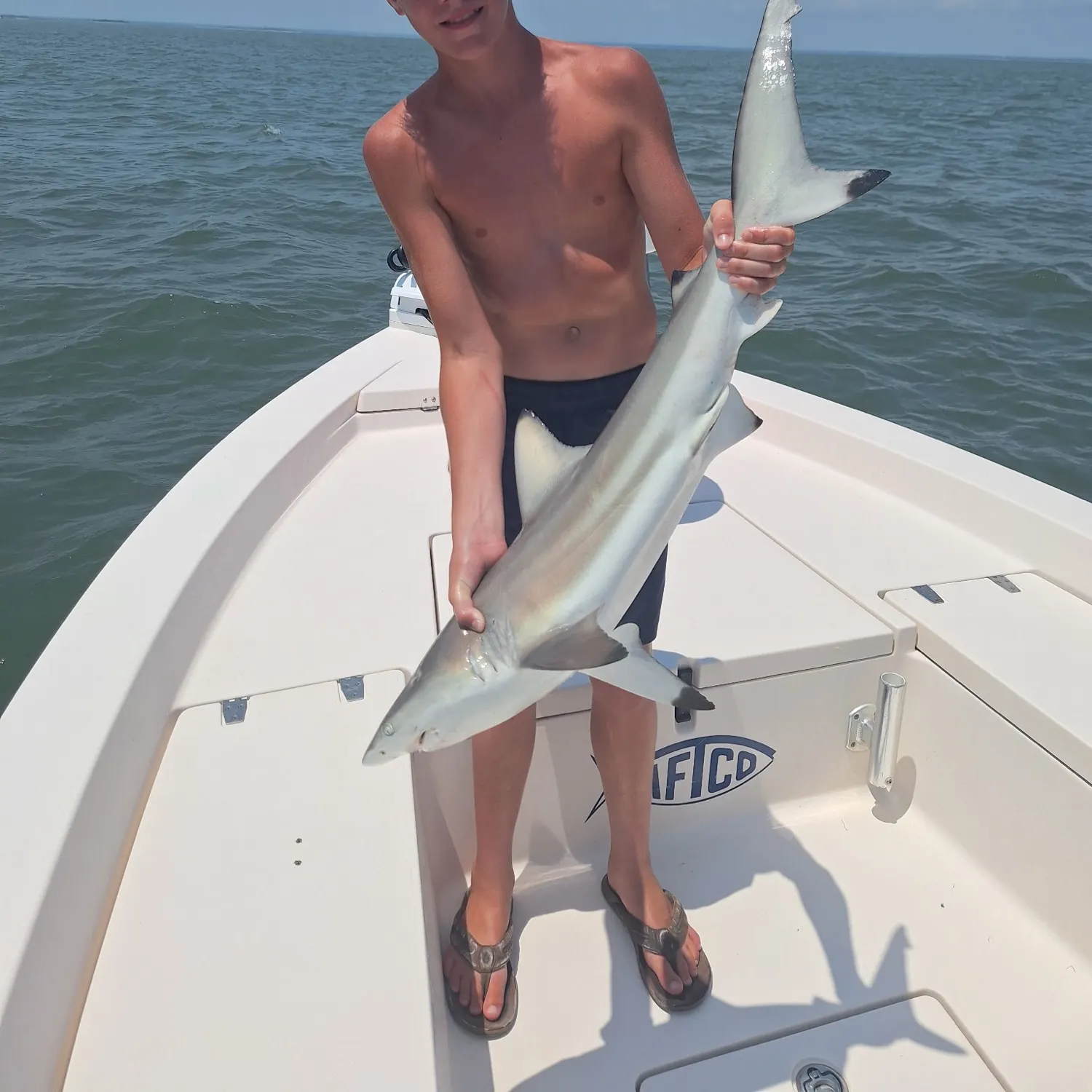 The most recent Blacktip shark catches on Fishbrain