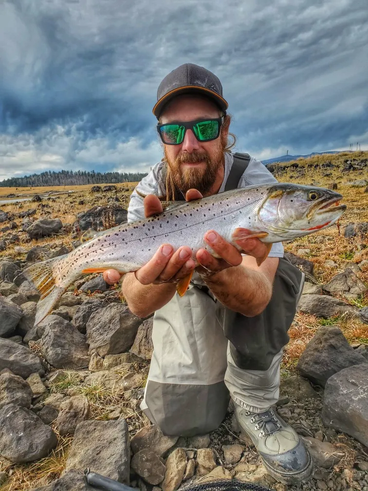 Bonneville cutthroat trout