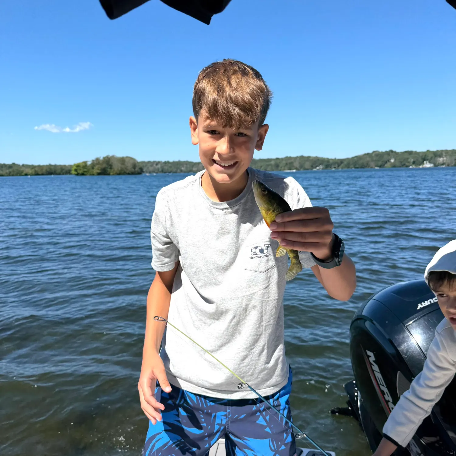Yellow perch caught on Fishbrain