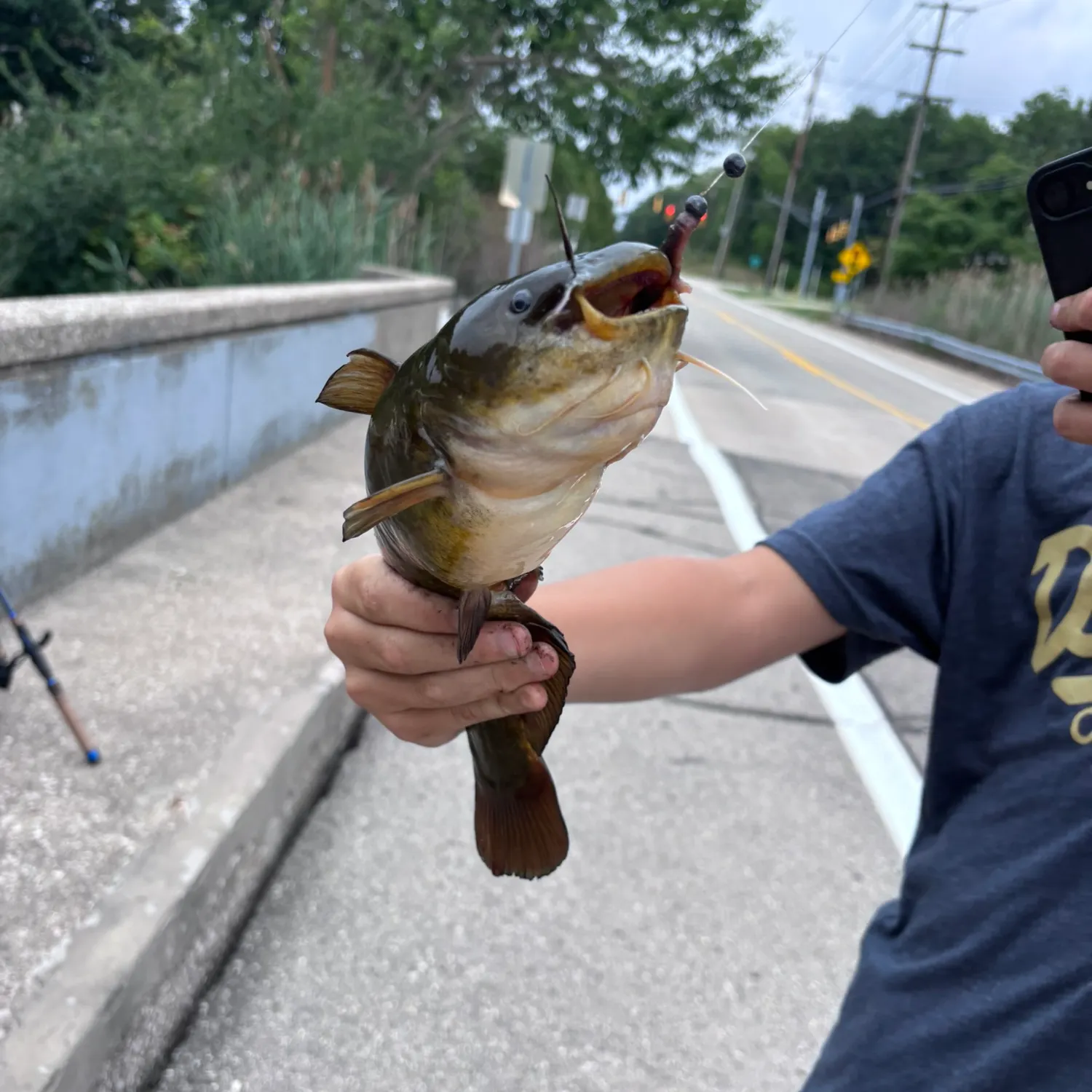 catch