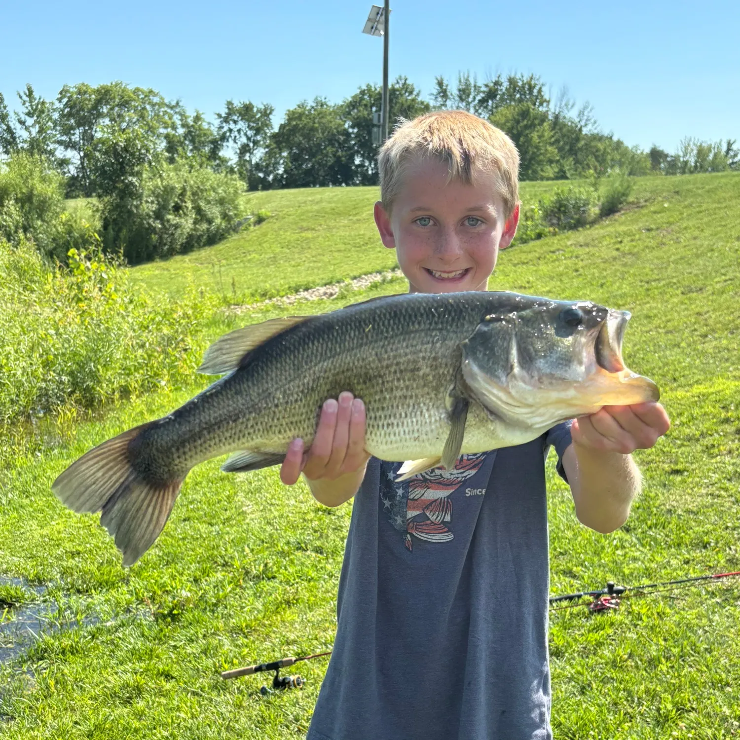 Largemouth bass caught on Fishbrain