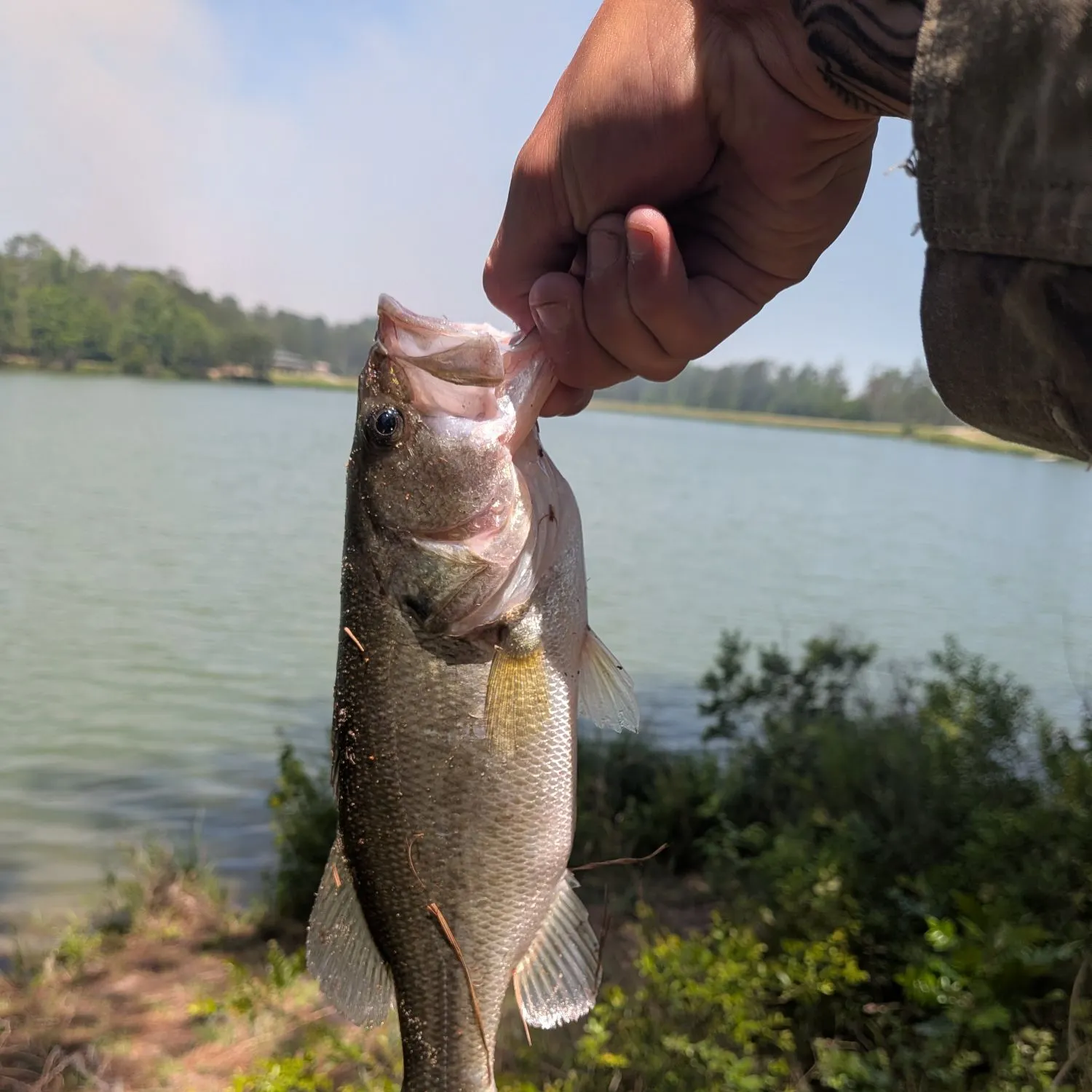catch