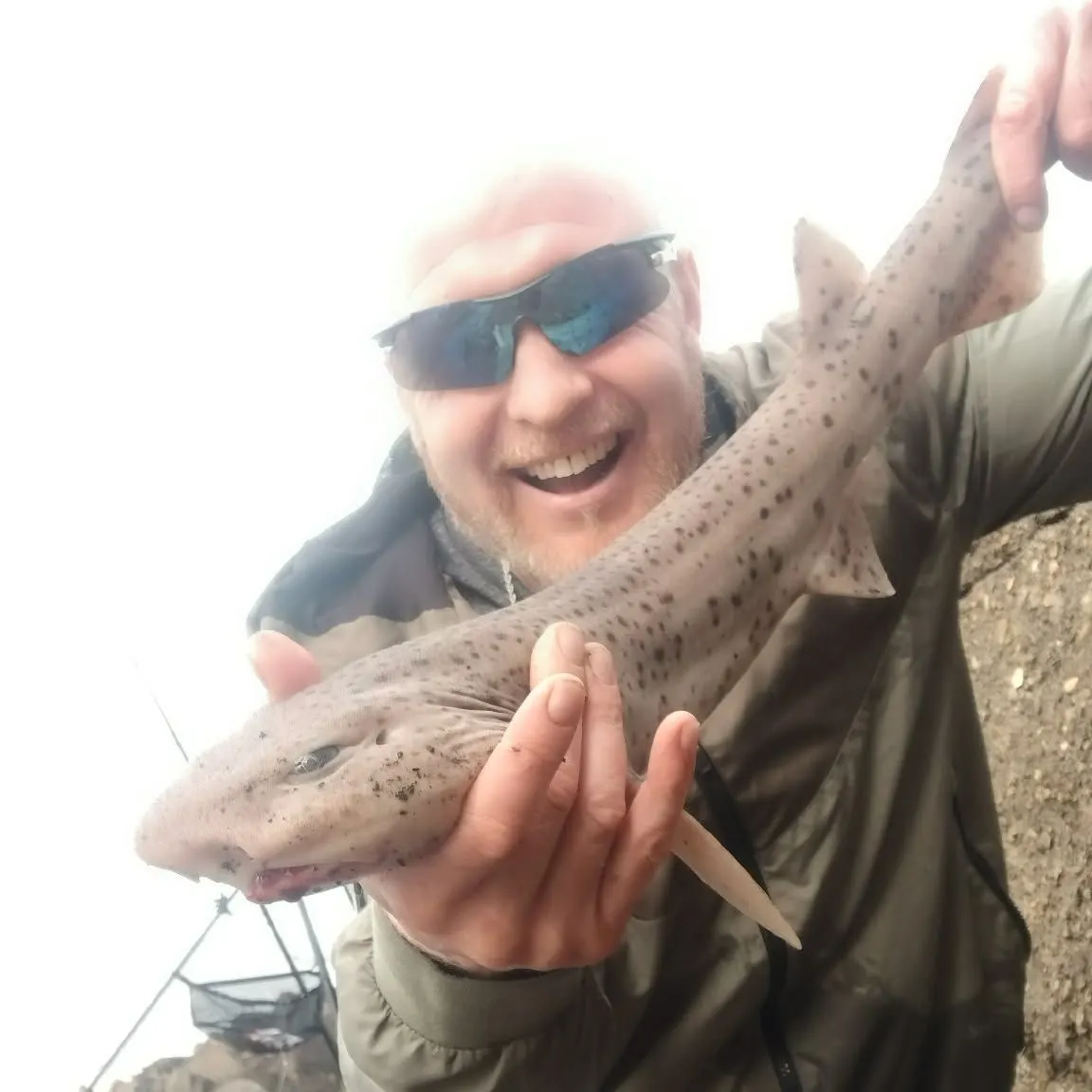 The most recent Nursehound catches on Fishbrain