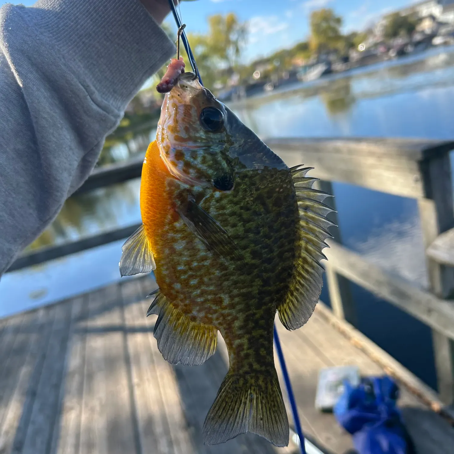 catch