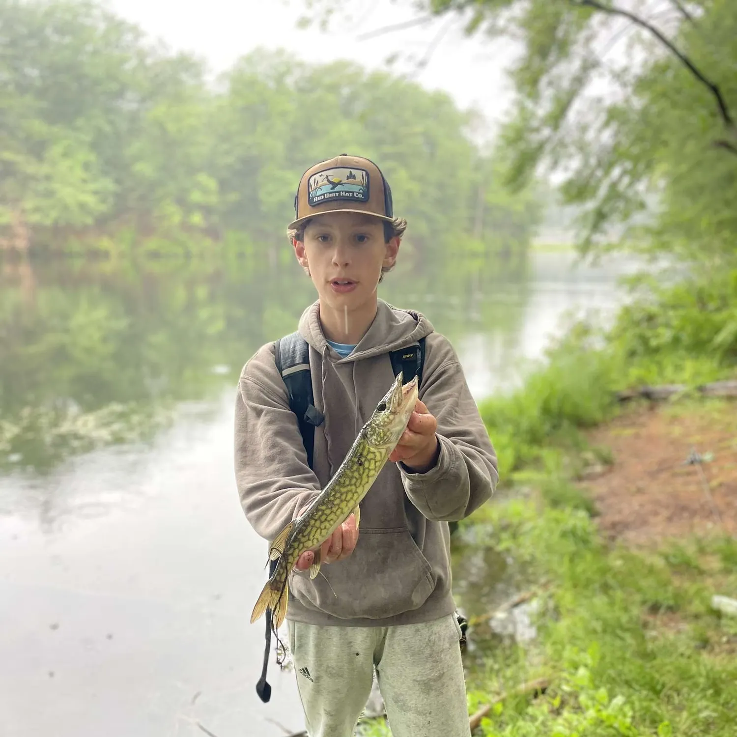 most liked catch image