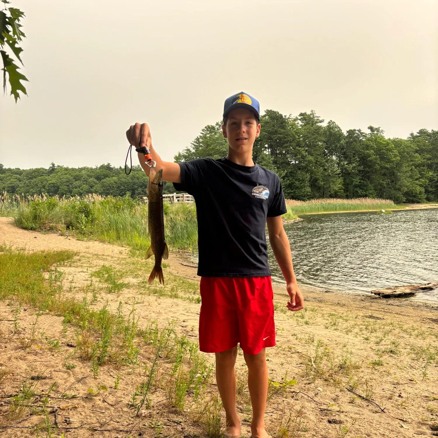 catch