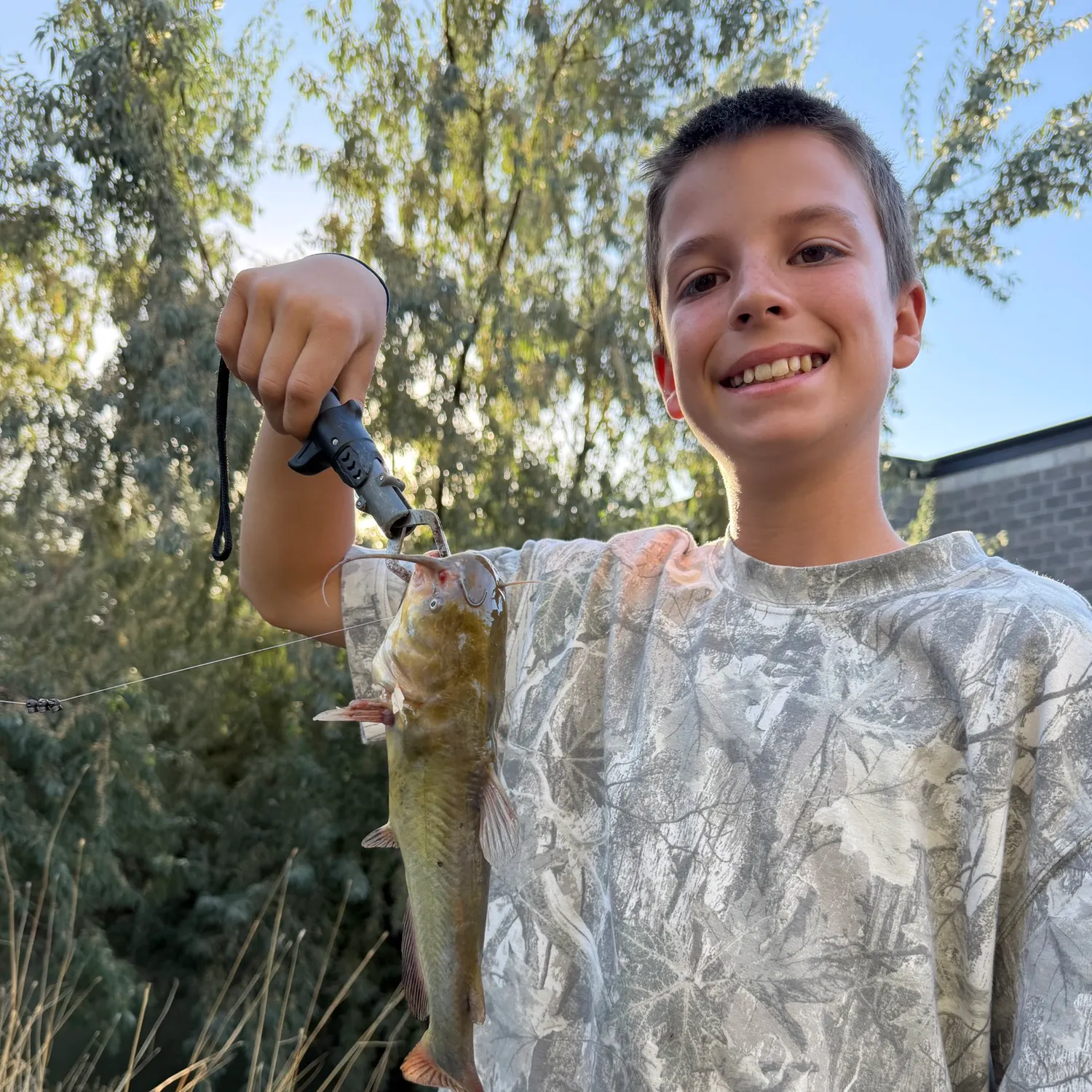 Yellow bullhead caught on Fishbrain