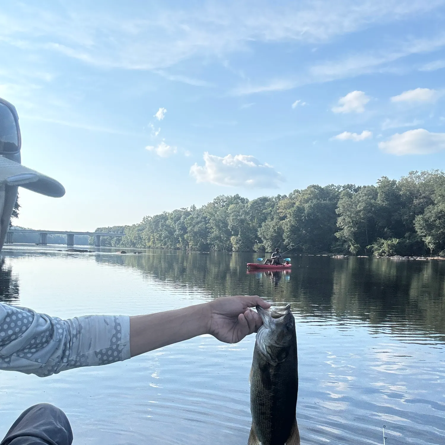 The most recent Spotted bass catches on Fishbrain