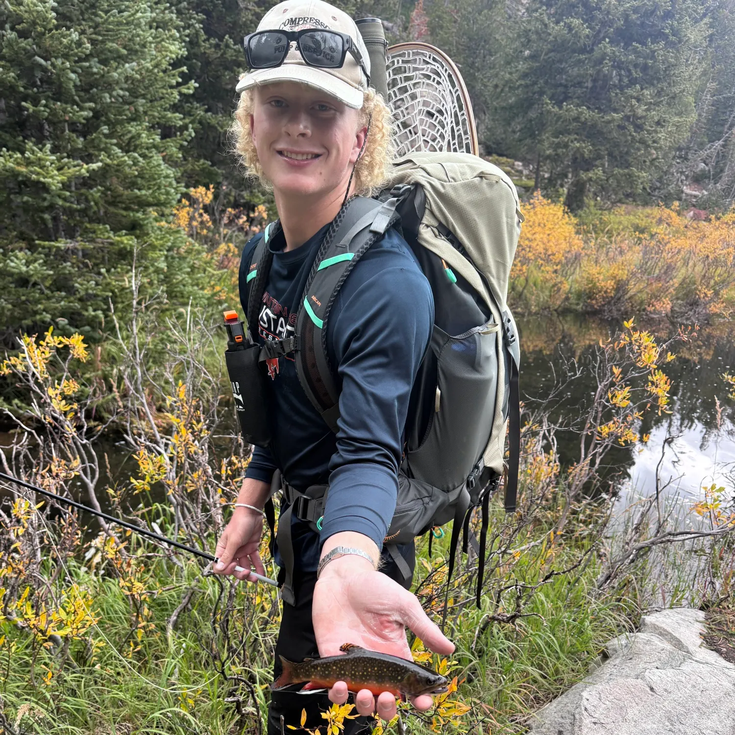 Brook trout caught on Fishbrain