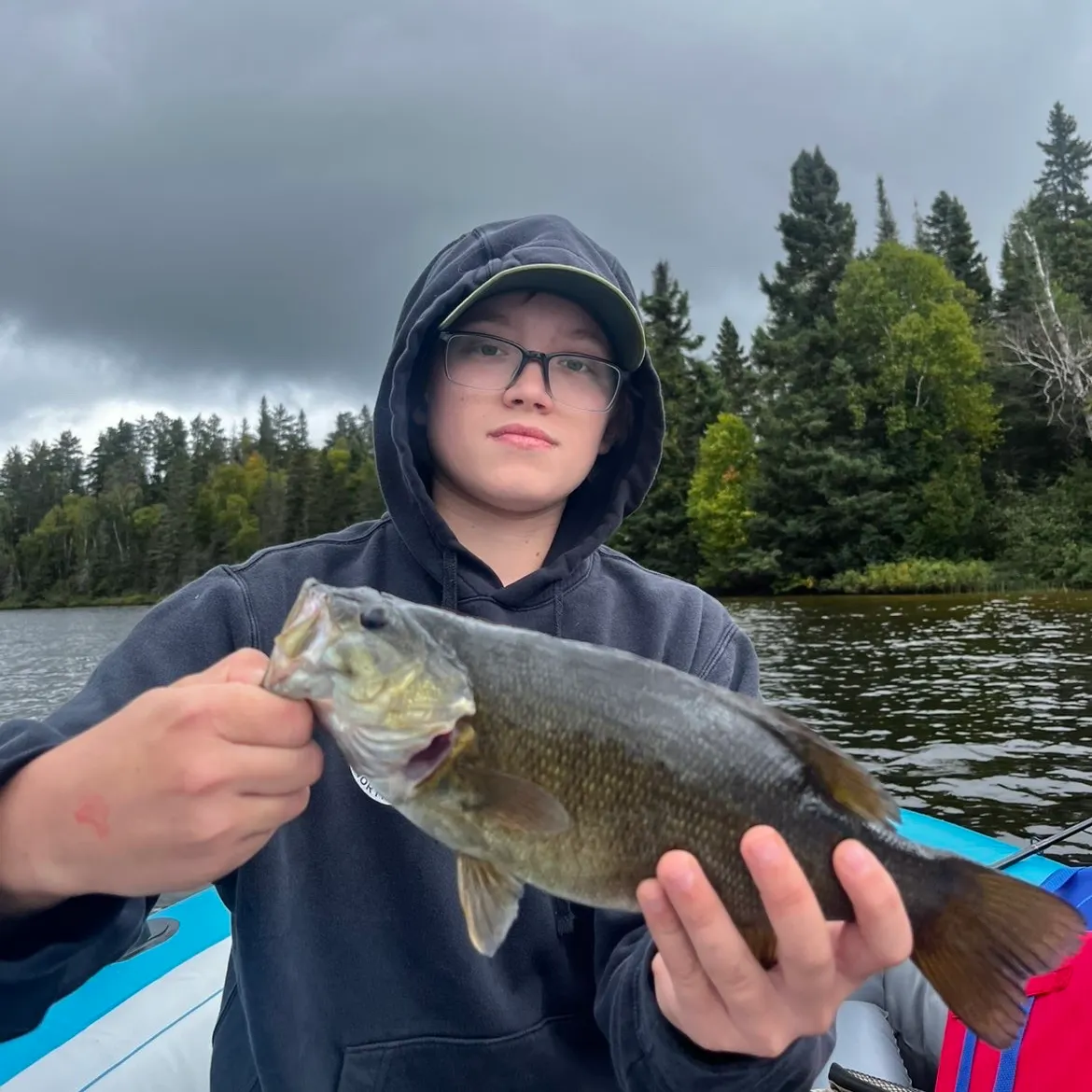 Smallmouth bass caught on Fishbrain