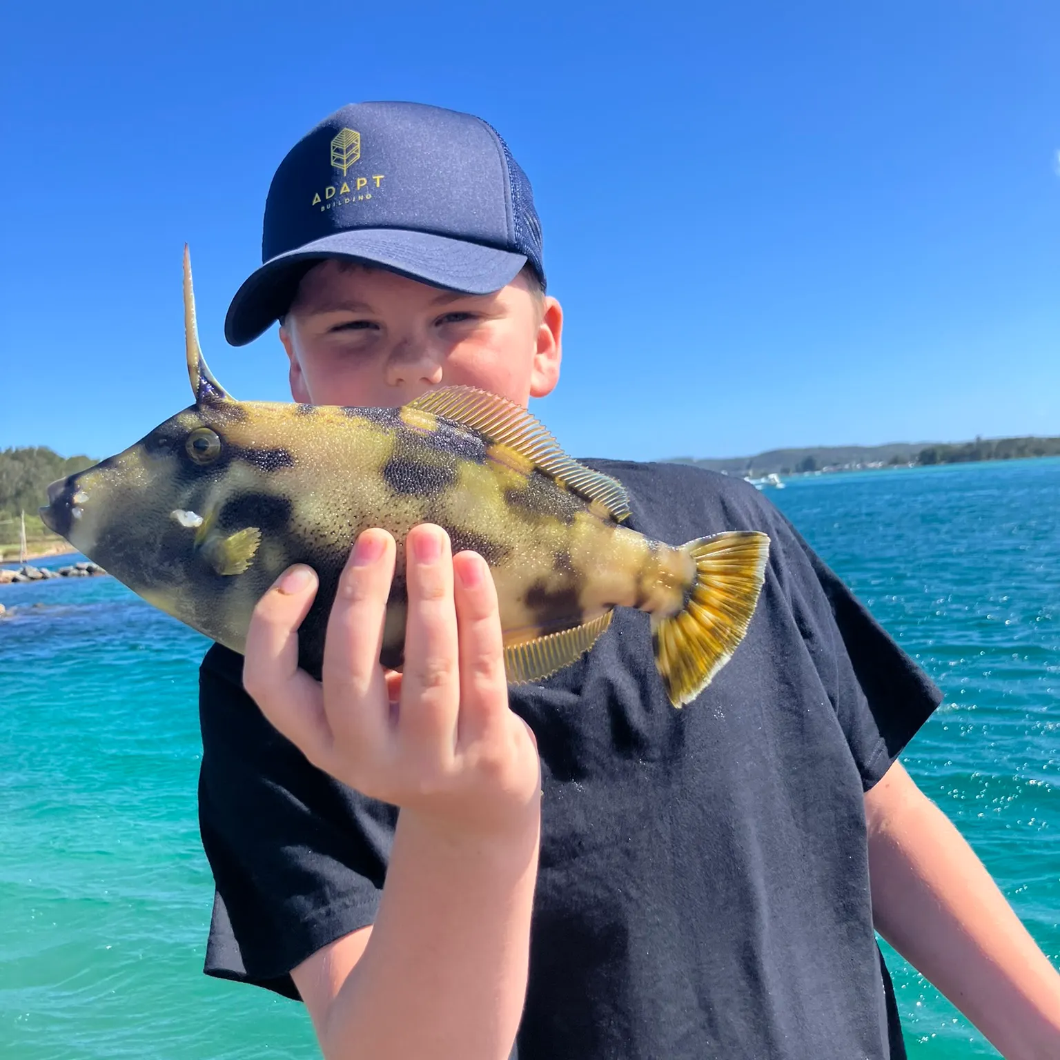 The most recent Black reef leatherjacket catches on Fishbrain