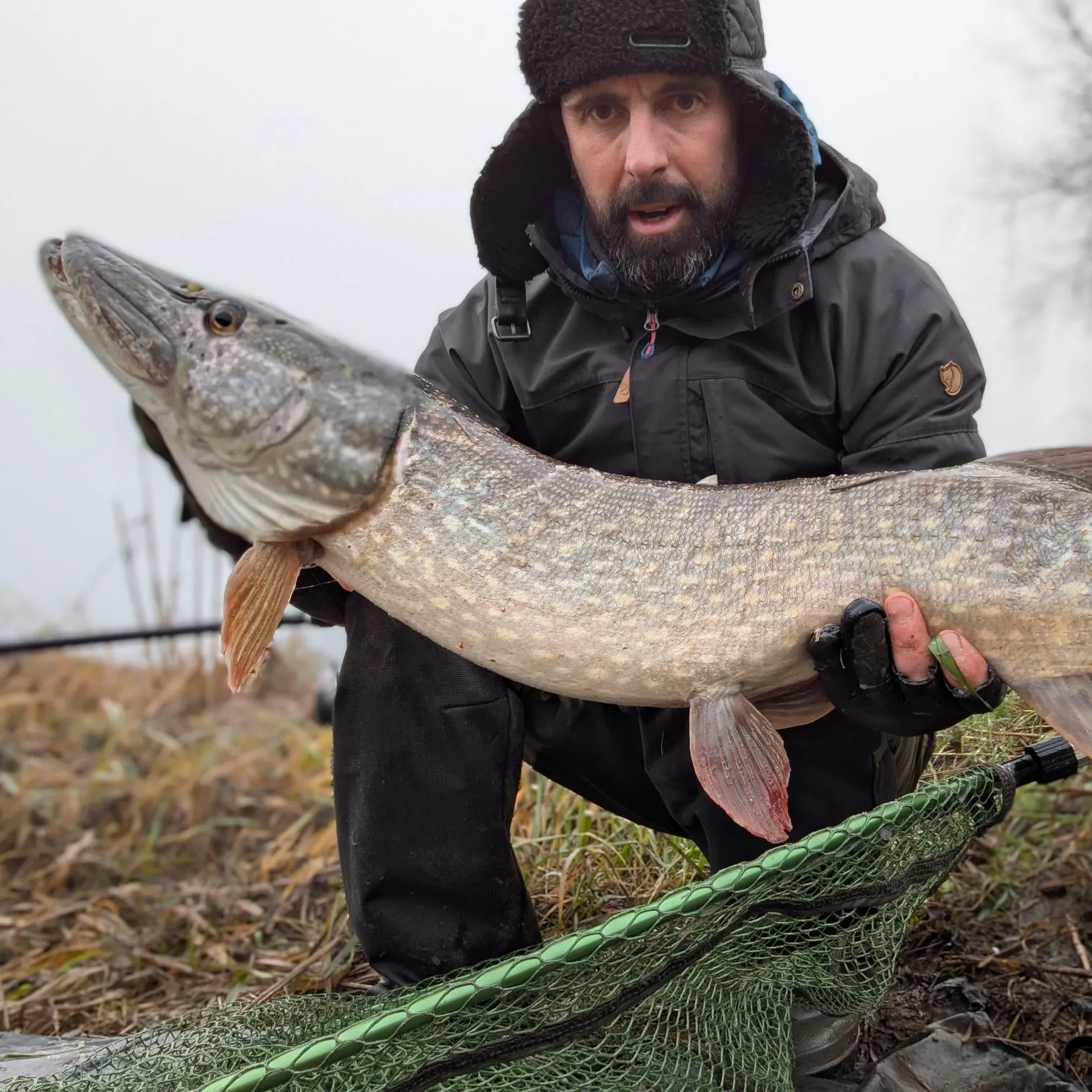 angler catch