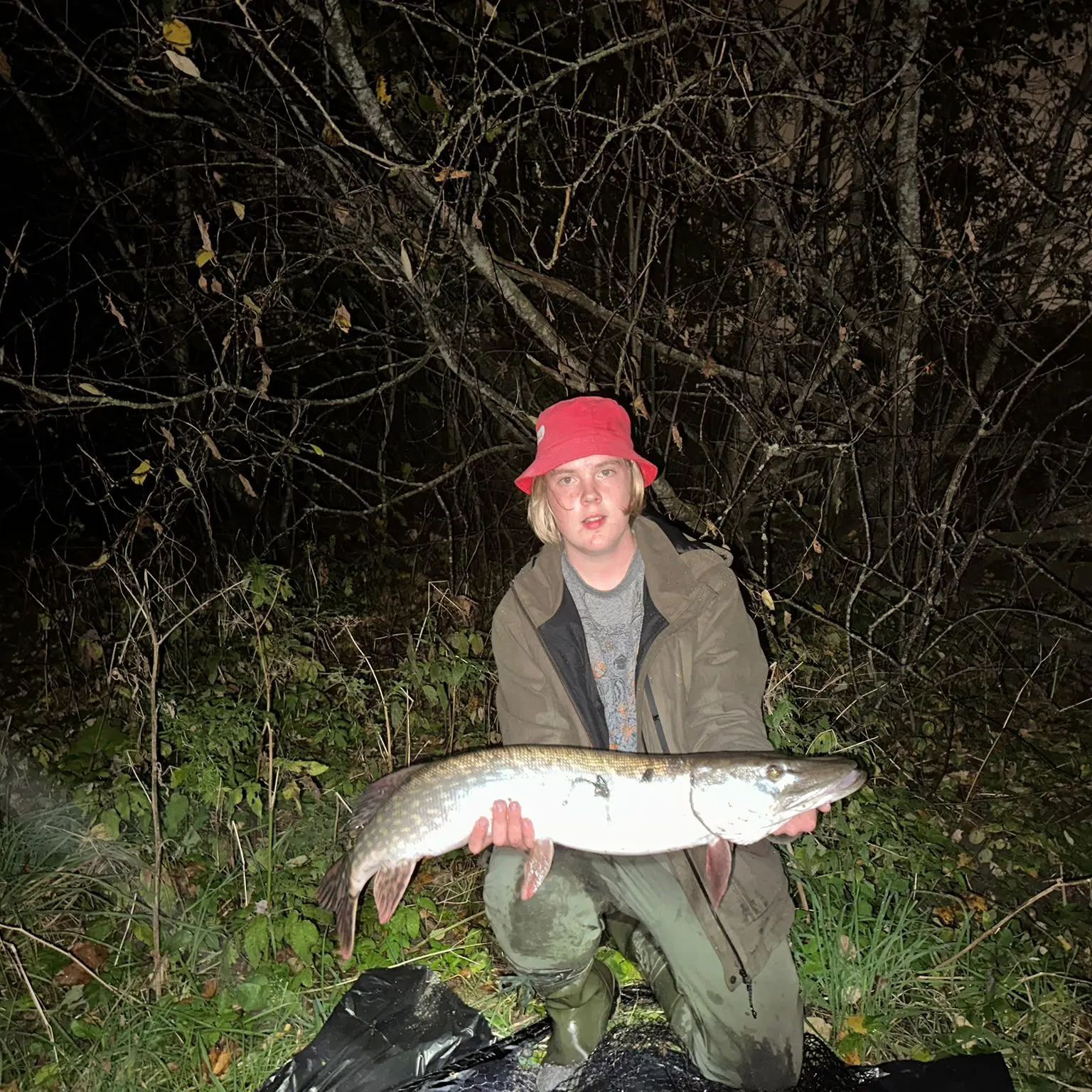 Northern pike caught on Fishbrain