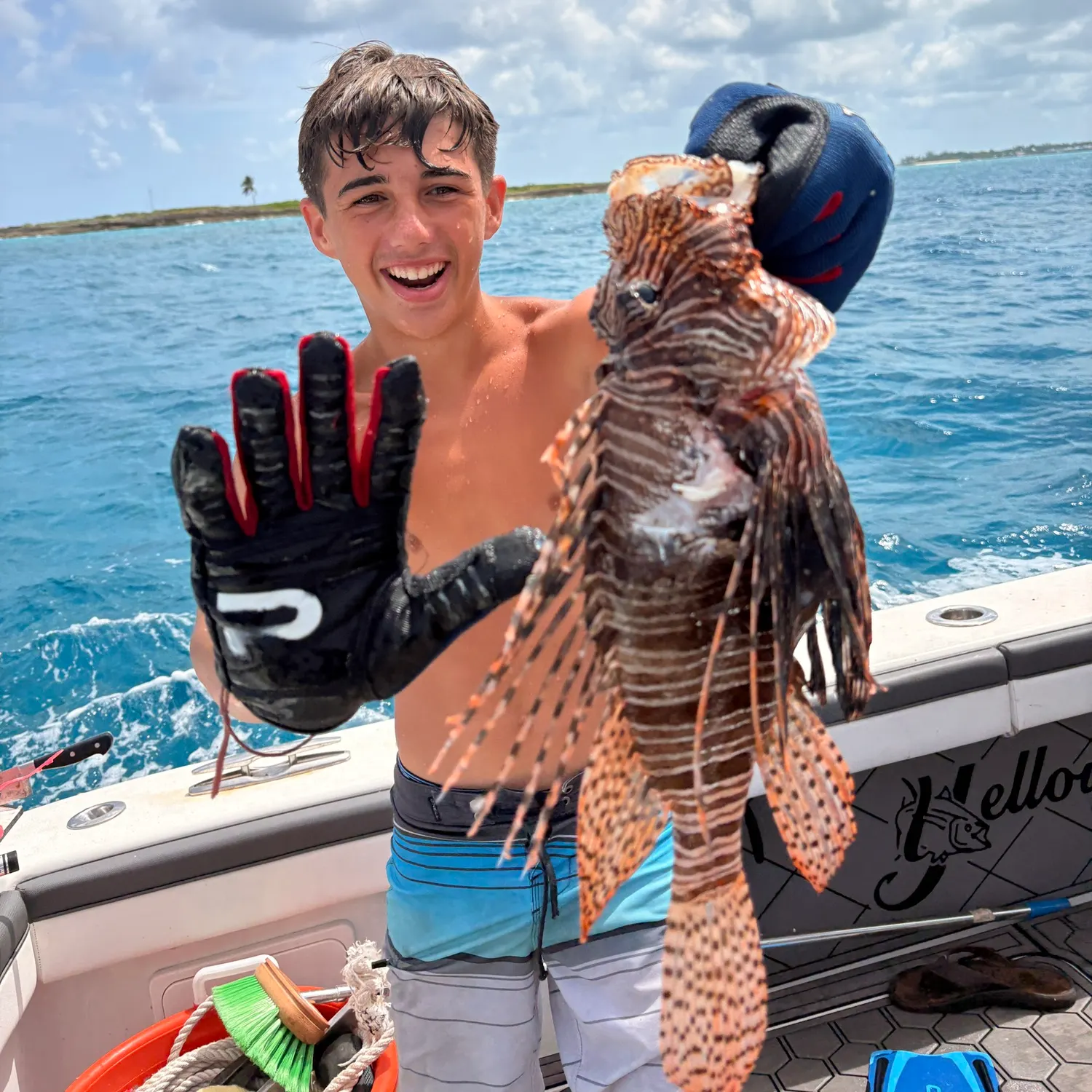 The most recent Red lionfish catches on Fishbrain