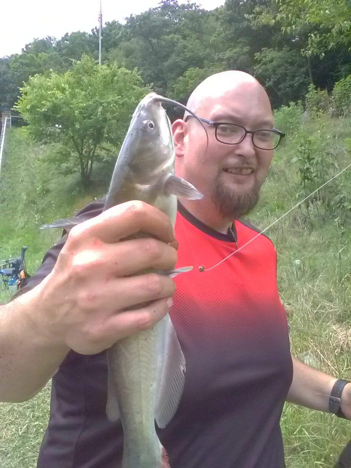 Post image from jesseblough