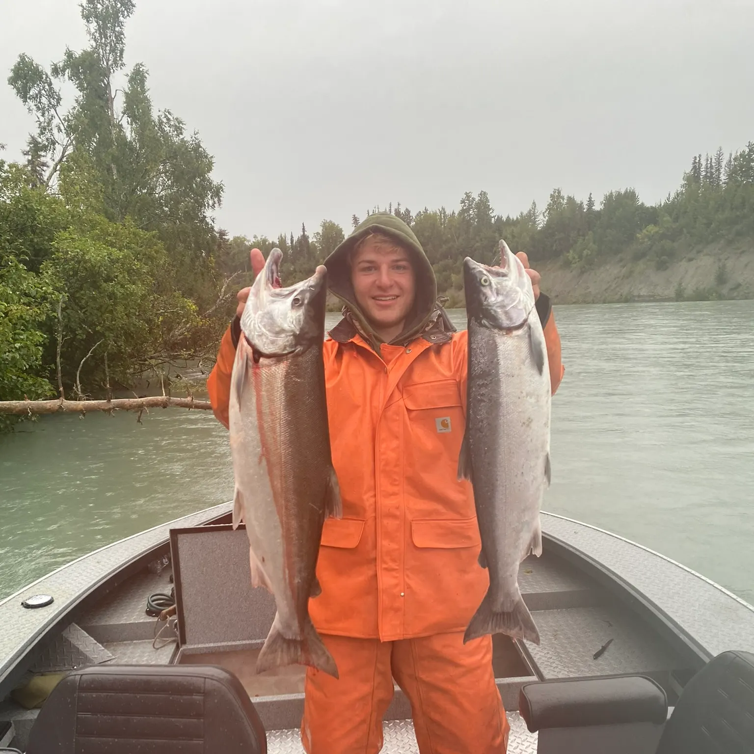 The most recent Coho salmon catches on Fishbrain