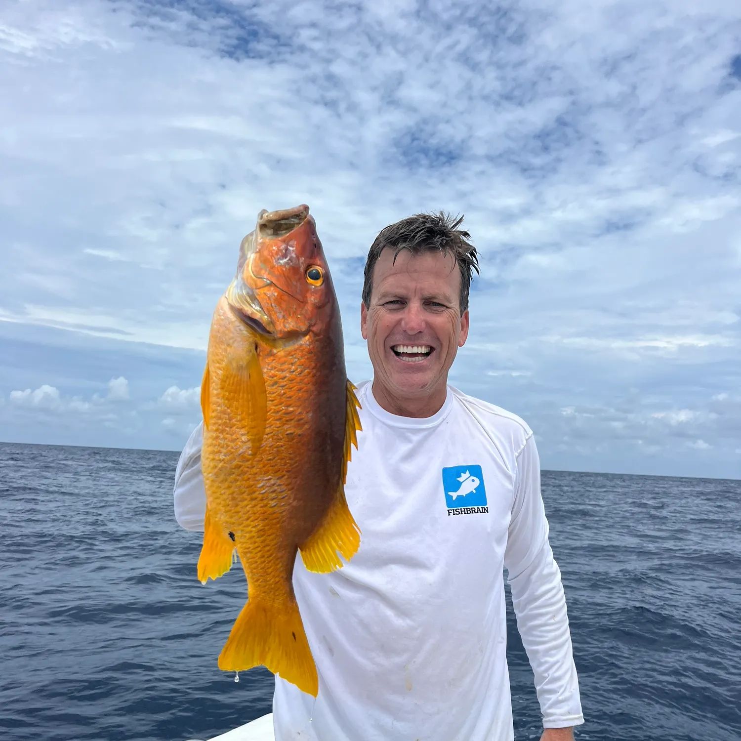 The most popular recent Schoolmaster snapper catch on Fishbrain