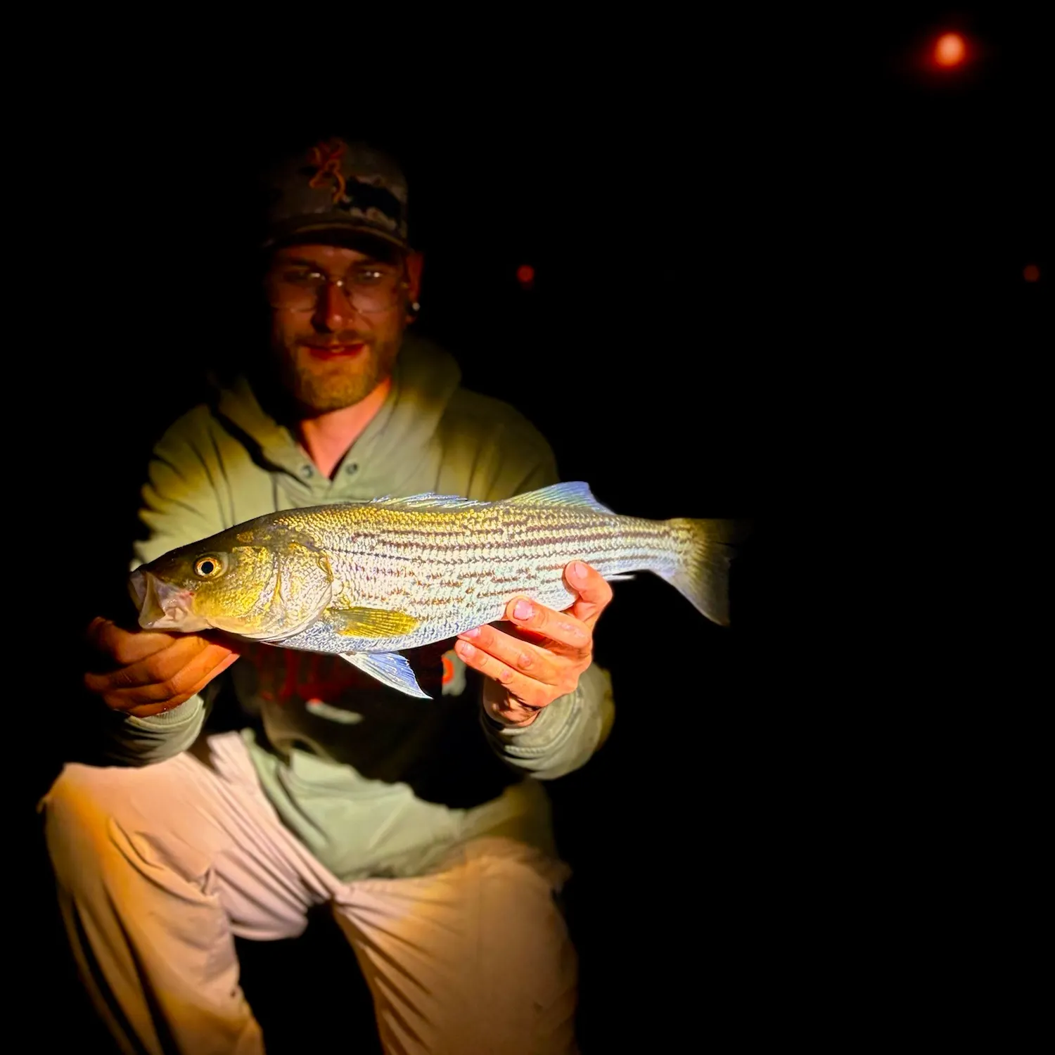 The most recent Striped bass catches on Fishbrain