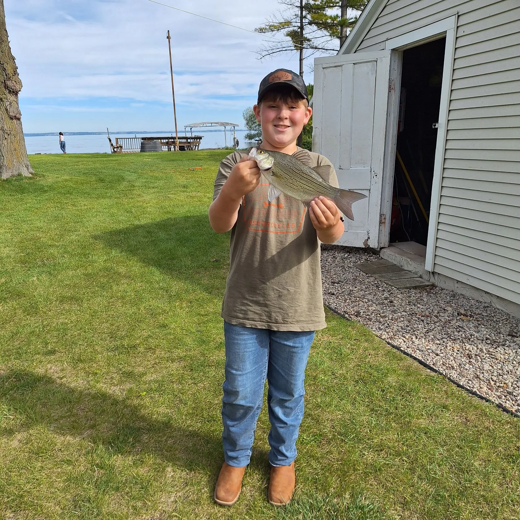 White bass caught on Fishbrain