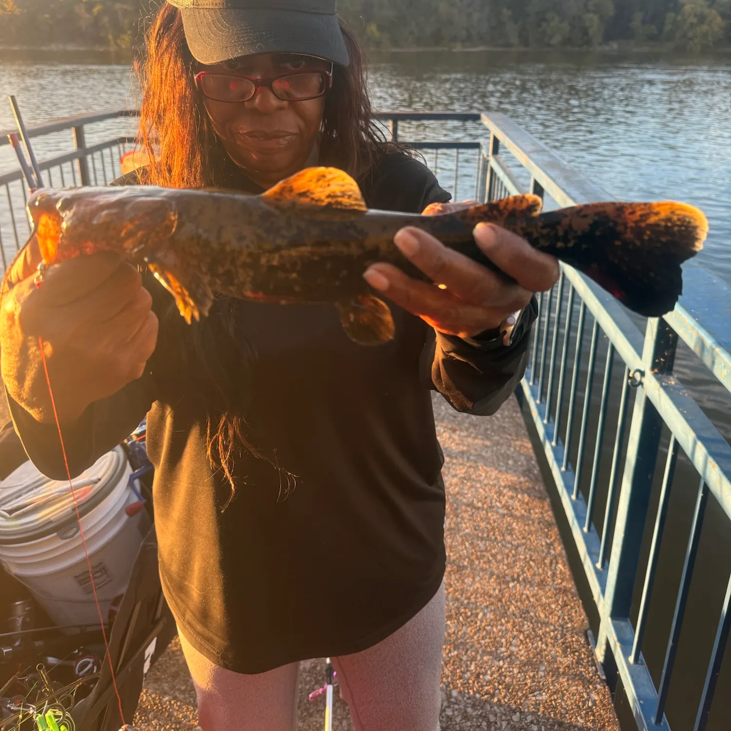 Flathead catfish caught on Fishbrain