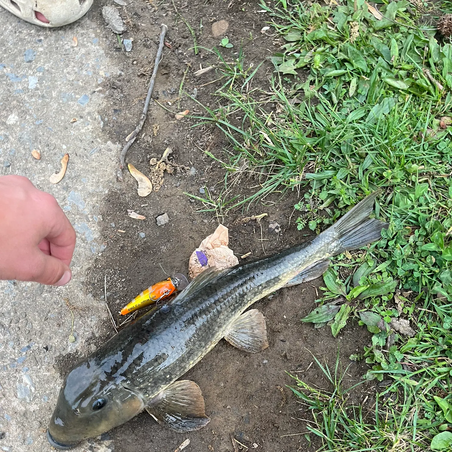 catch