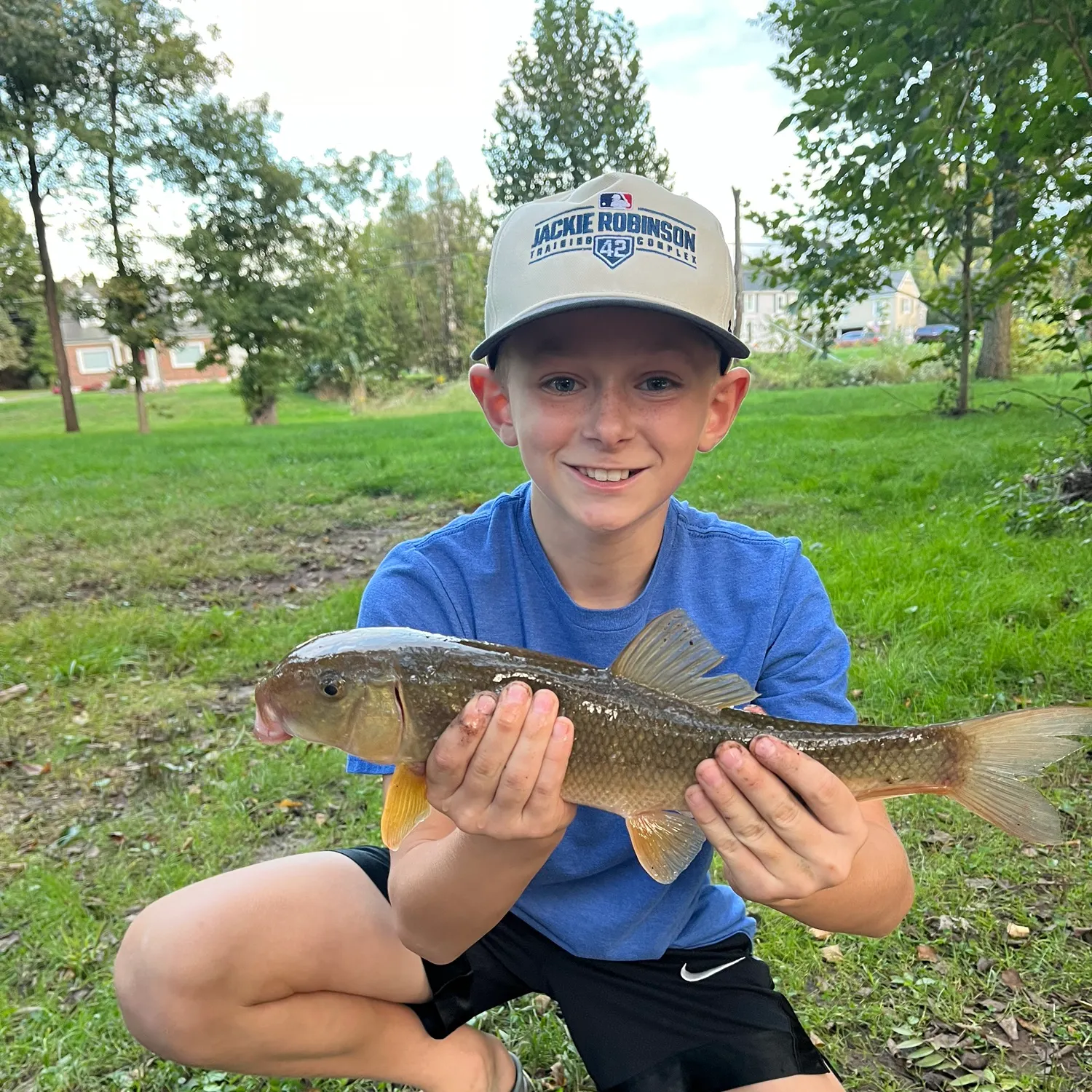 White sucker caught on Fishbrain