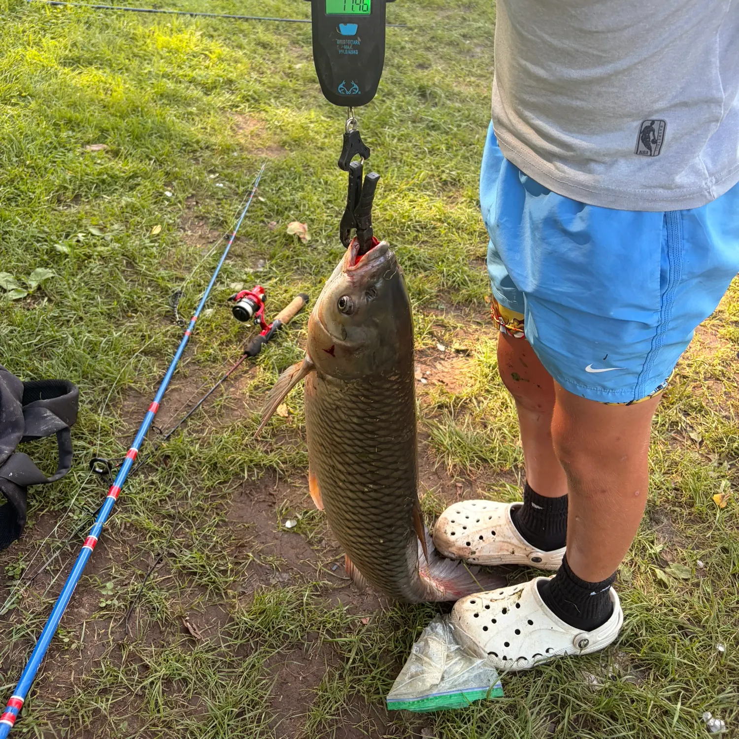 Grass carp caught on Fishbrain