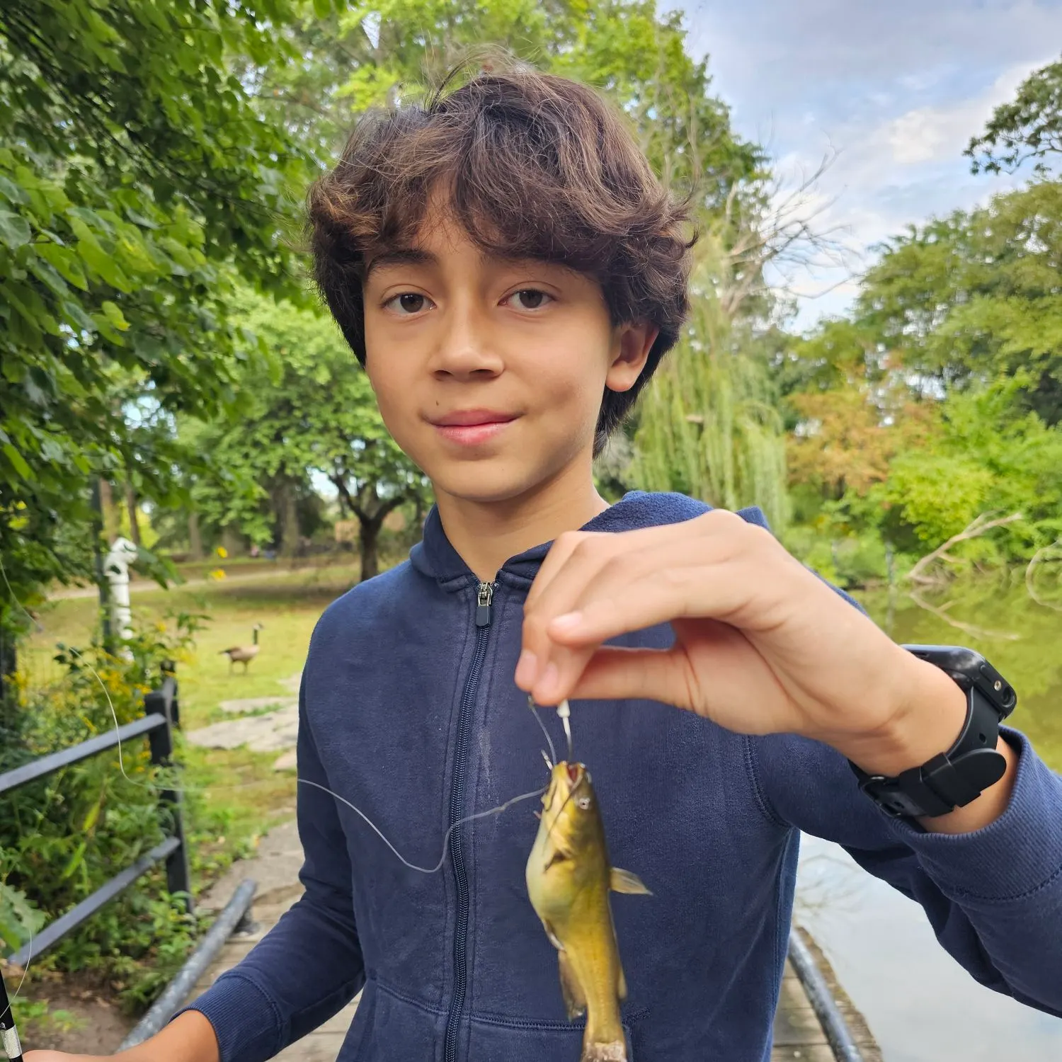 Yellow bullhead caught on Fishbrain