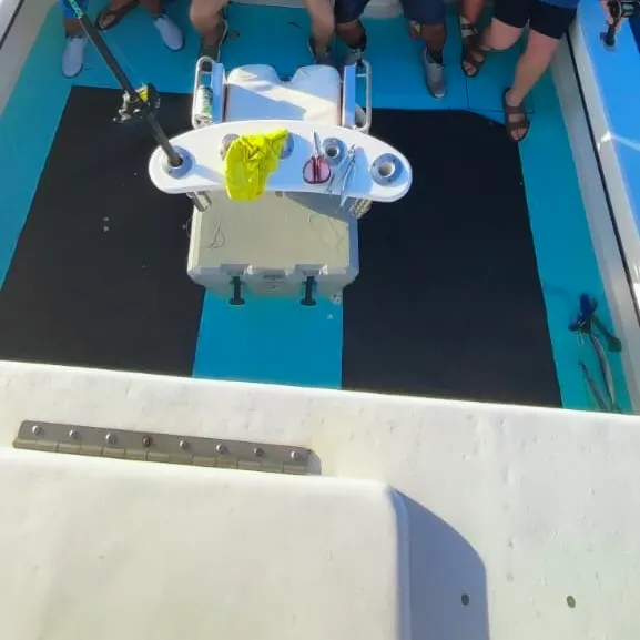 The most recent Atlantic sailfish catches on Fishbrain