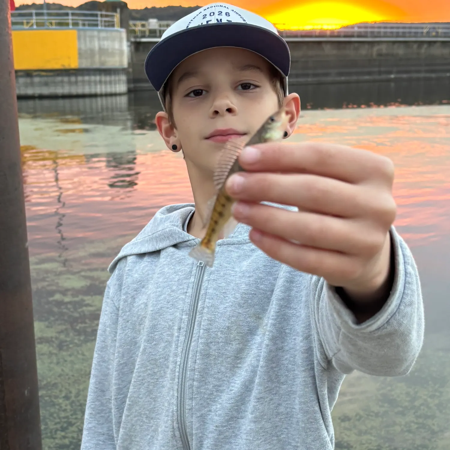 The most recent Common logperch catches on Fishbrain