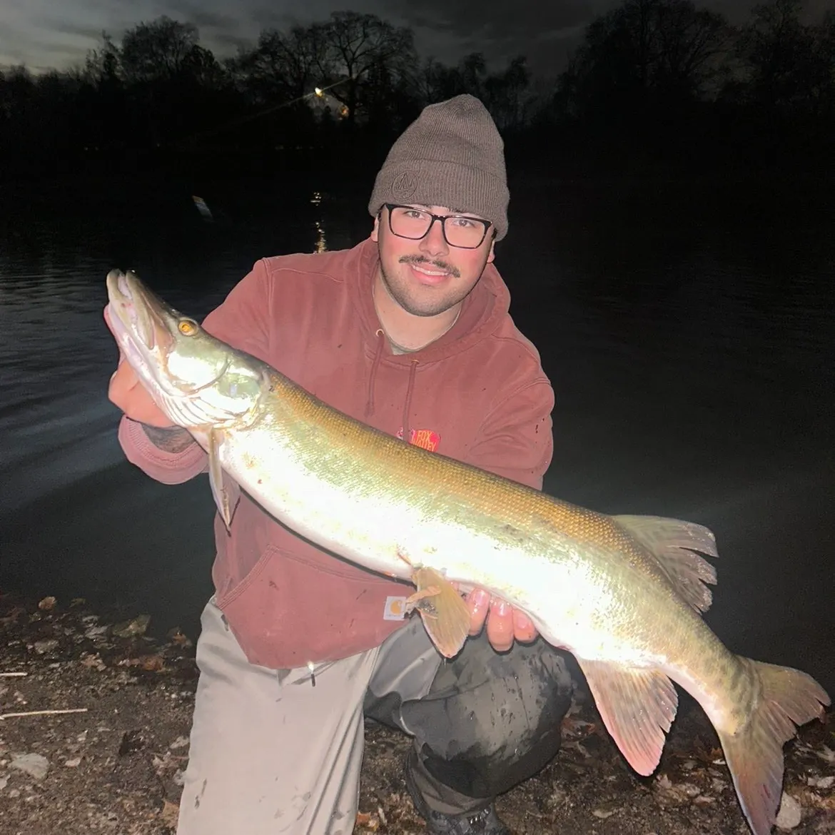 The most recent Muskellunge catches on Fishbrain