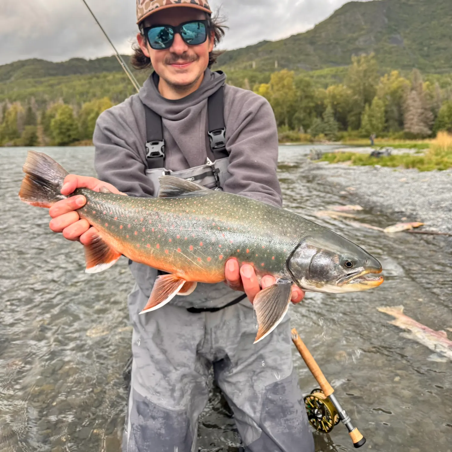 Dolly varden caught on Fishbrain