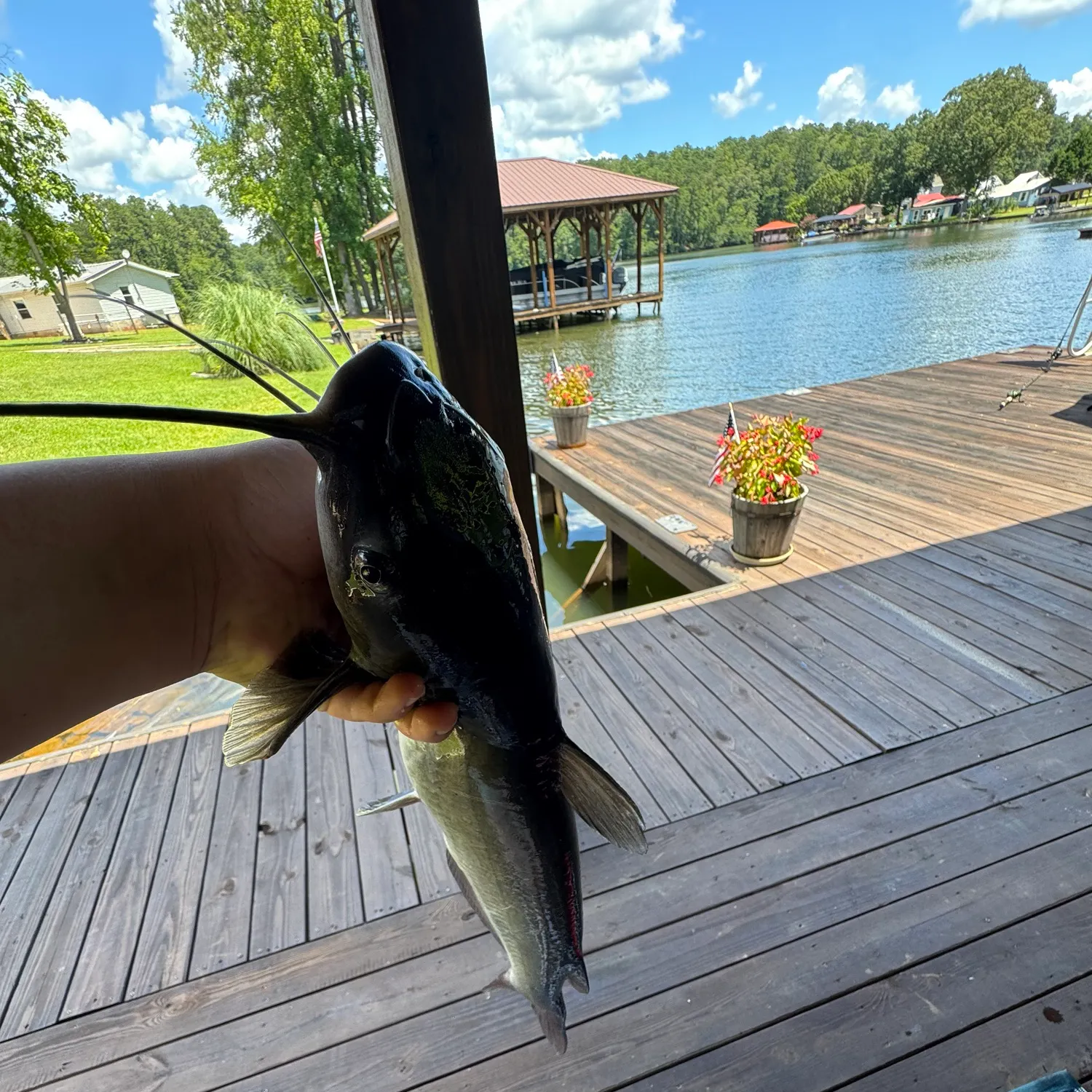 catch