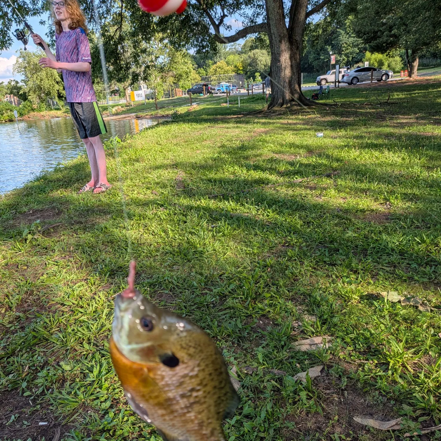 catch
