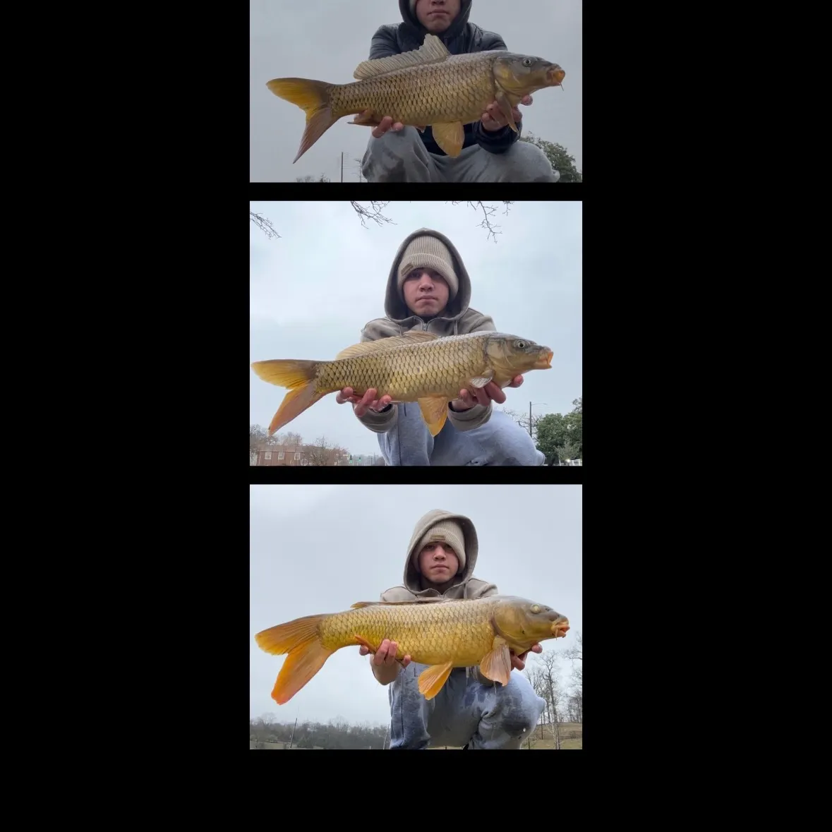 recently logged catches