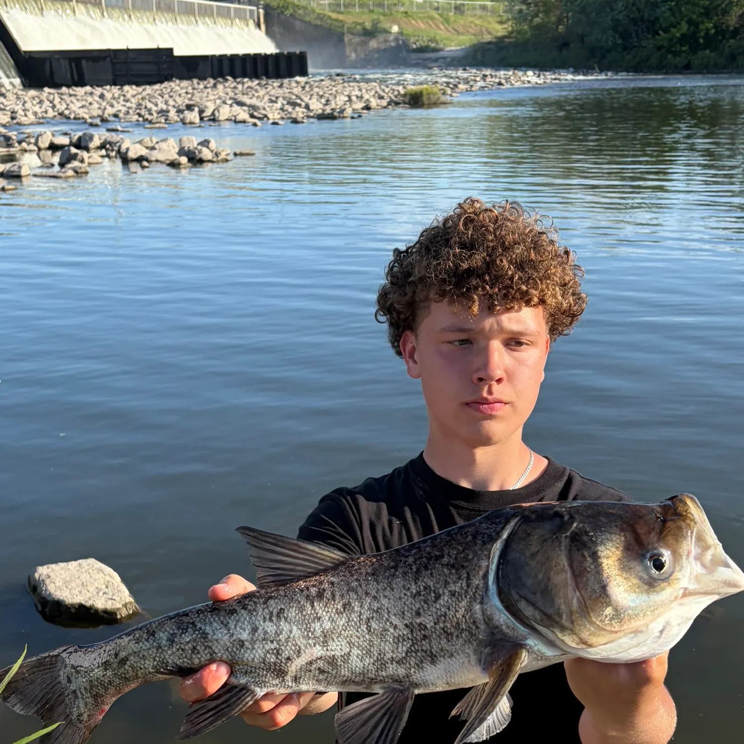 The most recent Bighead carp catches on Fishbrain